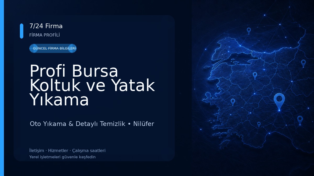 Profi Bursa Koltuk ve Yatak Yıkama